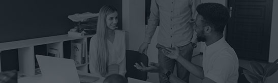  Custom Web Design & Development
